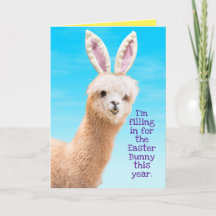Funny Llama Paashaas Bunny-Llama vertelt je