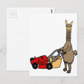 Funny Llama Pushing Lawn Mower Cartoon Briefkaart (Voorkant / Achterkant)