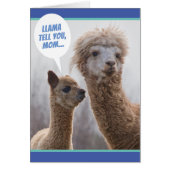 Funny Llama vertelt het je, Moederdag Kaart (Voorkant)