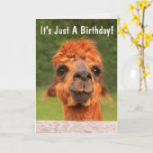 Funny Llama Wise Advice Birthday Kaart (Gele Bloem)