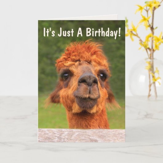 Funny Llama Wise Advice Birthday Kaart (Gele Bloem)