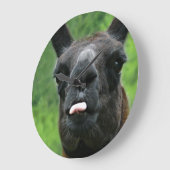 Funny Llama with Major Attitude & Pink Tongue Grote Klok (Hoek)