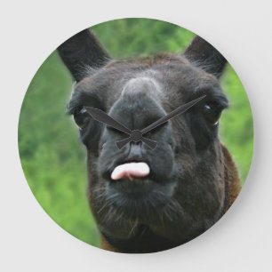 Funny Llama with Major Attitude & Pink Tongue Grote Klok