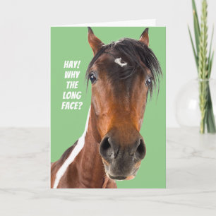 Funny Long-Faced Horse, geen paasse premier van de Kaart