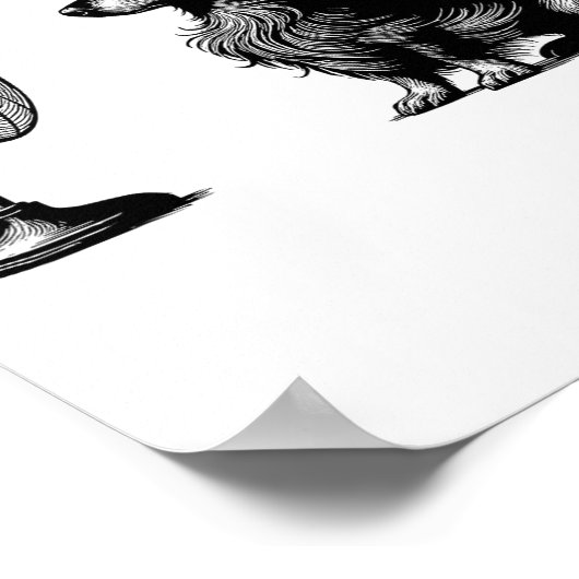 Funny Long Haired Dachshund Dog With Fan Doxie Wie Poster (Hoek)