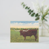 Funny  Longhorn Steer Briefkaart (Staand voorkant)