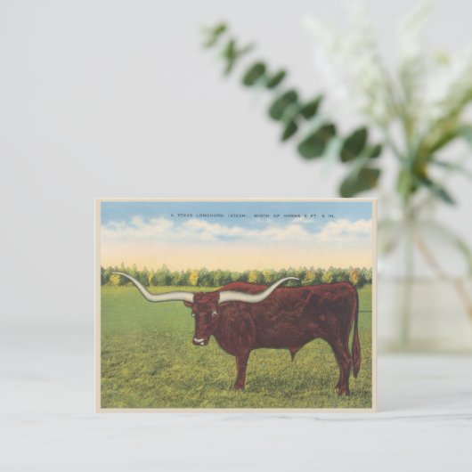 Funny Longhorn Steer Briefkaart (Staand voorkant)