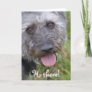Funny look Dog Wenskaart Kaart