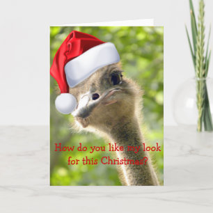 ©Funny look Ostrich Santa Custom Holiday Card Feestdagen Kaart