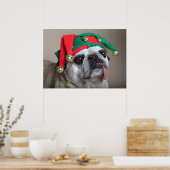 Funny looking pug with tongue hanging out poster (Keuken)