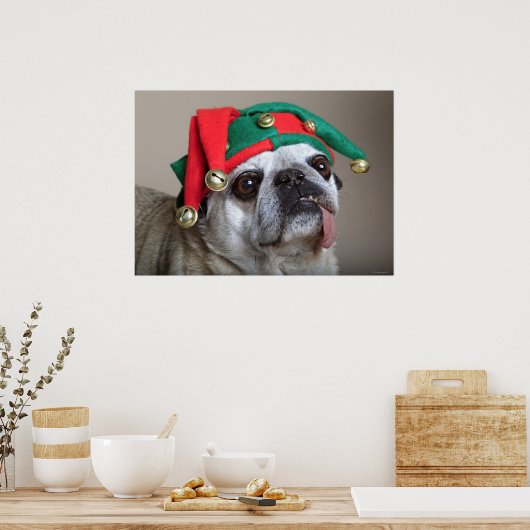 Funny looking pug with tongue hanging out poster (Keuken)