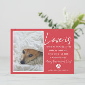 Funny Love is Pet Valentijnsdag Feestdagenkaart (Staand voorkant)