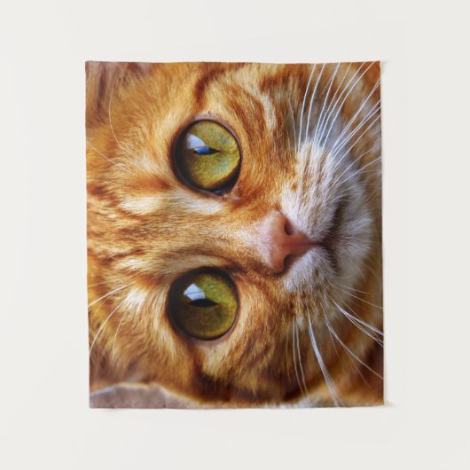 Funny mackerel (huiskat) wandkleed (Voorkant)