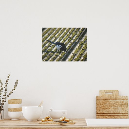 Funny Magpie Print (Keuken)