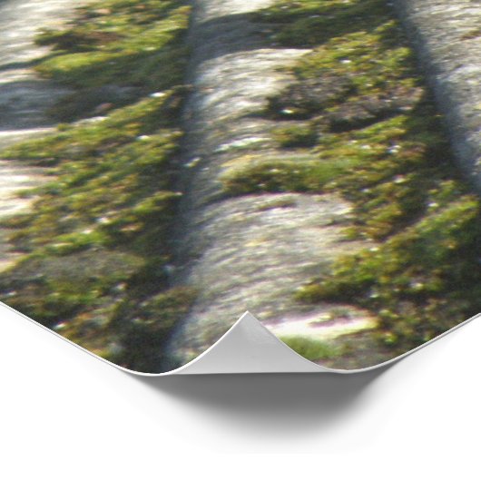 Funny Magpie Print (Hoek)