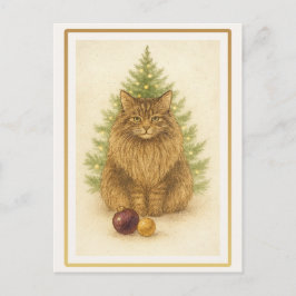 Funny Maine Coon Cat Christmas Postcard Briefkaart