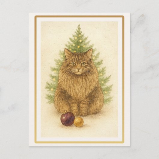 Funny Maine Coon Cat Christmas Postcard Briefkaart (Voorkant)