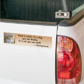 Funny Maine Coon Kitten Foto gepersonaliseerd Bumpersticker (Op Truck)