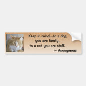Funny Maine Coon Kitten Foto gepersonaliseerd Bumpersticker (Voorkant)