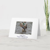 Funny Mallard Duck Birthday Kaart (Achterkant)