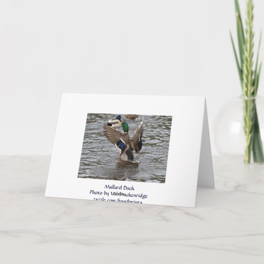 Funny Mallard Duck Birthday Kaart (Achterkant)