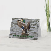 Funny Mallard Duck Birthday Kaart (Voorkant)