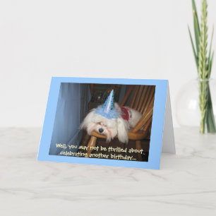 Funny Maltese Birthday Card Kaart