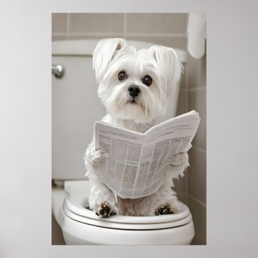 Funny Maltese Dog Bathroom Print, Newspaper Art Poster (Voorkant)