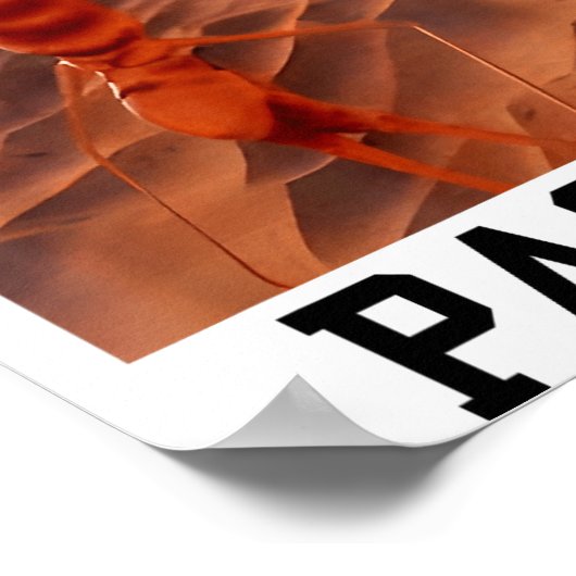 Funny Marcus The Worm Rigatoni Pasta Robert Meme T Poster (Hoek)