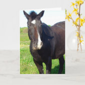 Funny Mare Birthday Kaart (Gele Bloem)