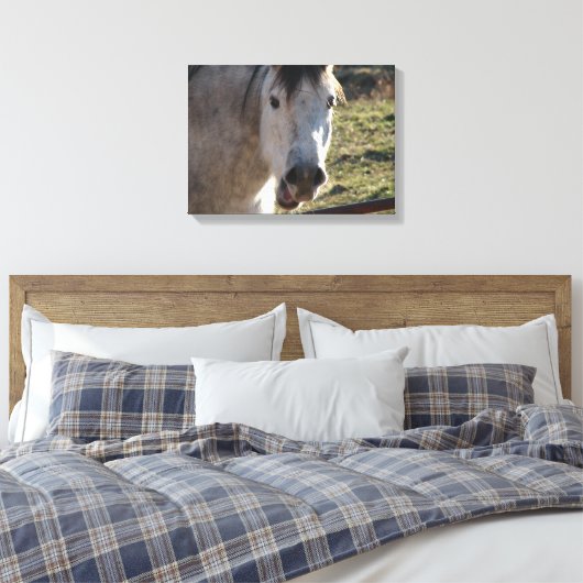 Funny Mare Canvas Afdruk (Insitu (Slaapkamer))