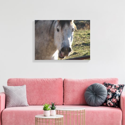 Funny Mare Canvas Afdruk (Insitu (Woonkamer))