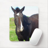 Funny Mare Muismat (Met muis)