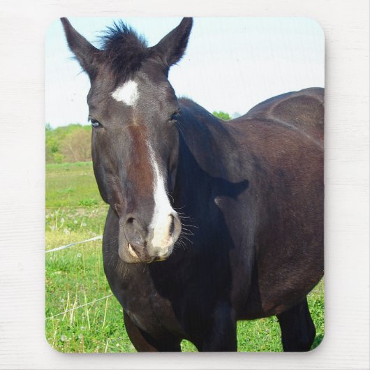 Funny Mare Muismat (Voorkant)