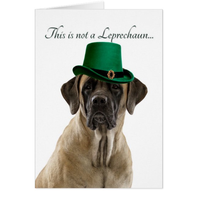 Funny Mastiff Leprechaun Card (Voorkant)