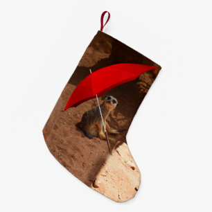 Funny Meerkat , in het kader van een Umbrealla , Kleine Kerstsok