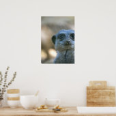 Funny Meerkat Poster (Keuken)