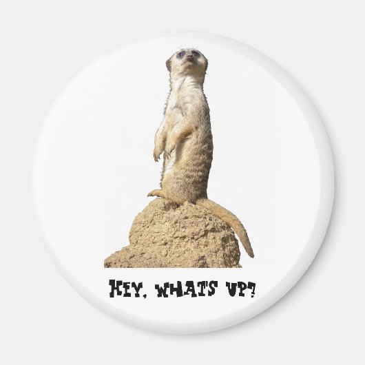 Funny Meerkat staat op het punt Magneet (Voorkant)