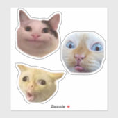 Funny Meme Cat Face Sticker (Vel)