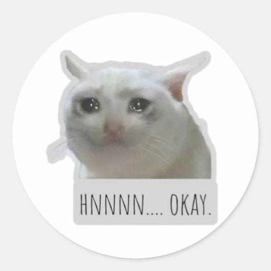 funny meme cat ronde sticker (Voorkant)