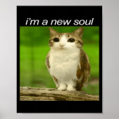 Funny Meowl Cat Owl Brainrot Cursed Internet Silly Poster (Voorkant)