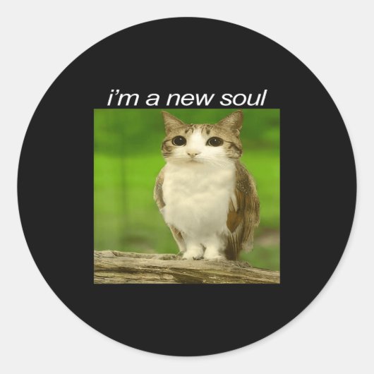 Funny Meowl Cat Owl Brainrot Cursed Internet Silly Ronde Sticker (Voorkant)