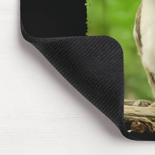 Funny Meowl Meme, Cat Owl Meme Brainrot Gen Alpha  Muismat (Hoek)