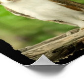 Funny Meowl Meme, Cat Owl Meme Brainrot Gen Alpha  Poster (Hoek)