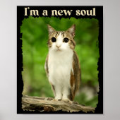 Funny Meowl Meme, Cat Owl Meme Brainrot Gen Alpha  Poster (Voorkant)