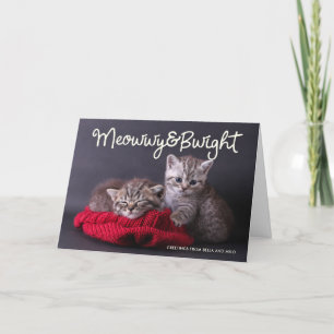 Funny Meowwy en Bwight Holiday   Fotogroet Feestdagen Kaart