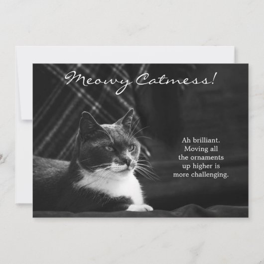 Funny Meowy Cat Mess Kerstmis Feestdagenkaart (Voorkant)