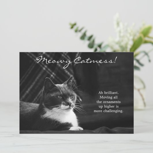 Funny Meowy Cat Mess Kerstmis Feestdagenkaart (Staand voorkant)