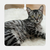 Funny MEOWY CHRISTMAS Cat Name 2 Foto Metalen Ornament (Achterkant)