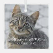 Funny MEOWY CHRISTMAS Cat Photo Glas Ornament (Voorkant)